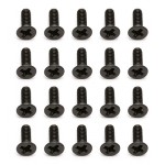 Screws, M2 x 6mm FHPS