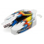 RTR Body/Nose, white